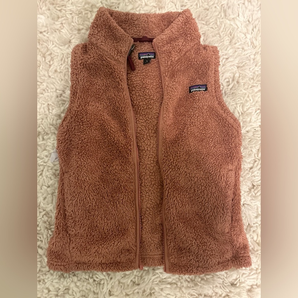 Patagonia vest